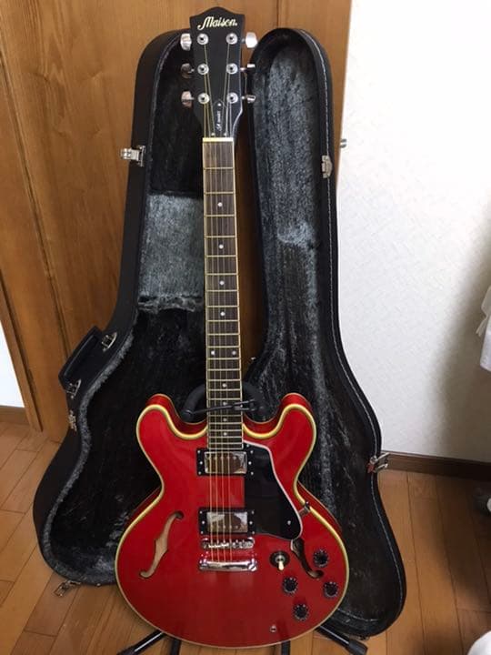 メイソン　ハードケース付‼️