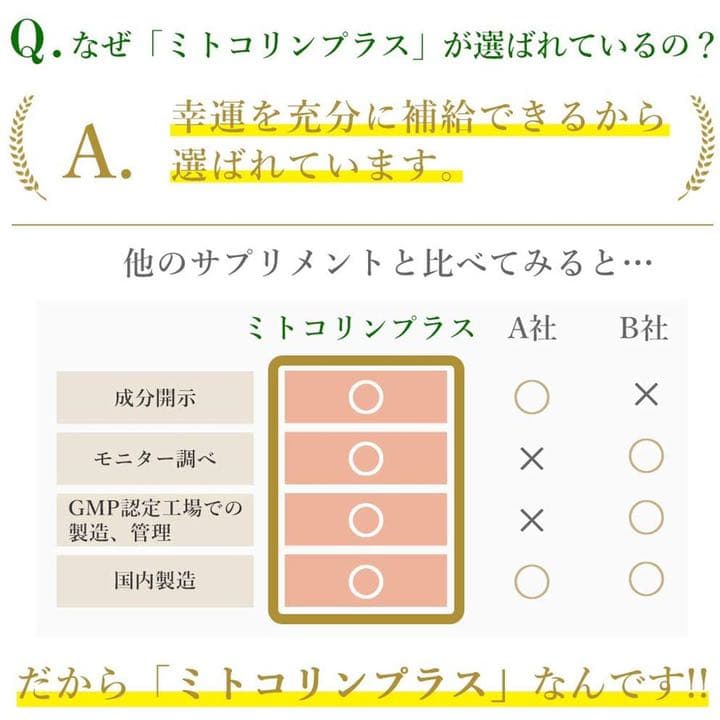 ミトコリン2箱☆品川美容外科購入エイジング施術後ケア 葉酸500μg未開封新品