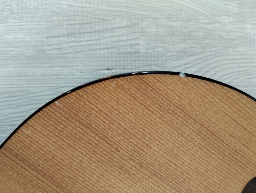 シェクター エレアコ OL-FL ナチュラル テレキャスタイプ SCHECTER