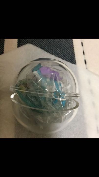 ポケモンテラリウムコレクション5 ✳︎スイクン確定