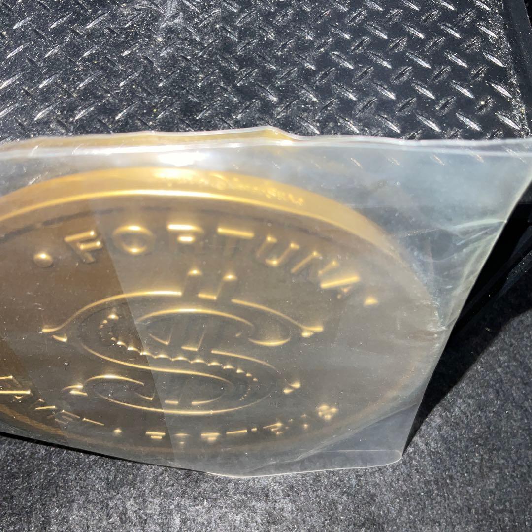 東京ディズニー　激レア　マクダック金貨