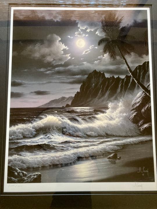 アンソニー・キャセイ「ハワイアンシルエット」