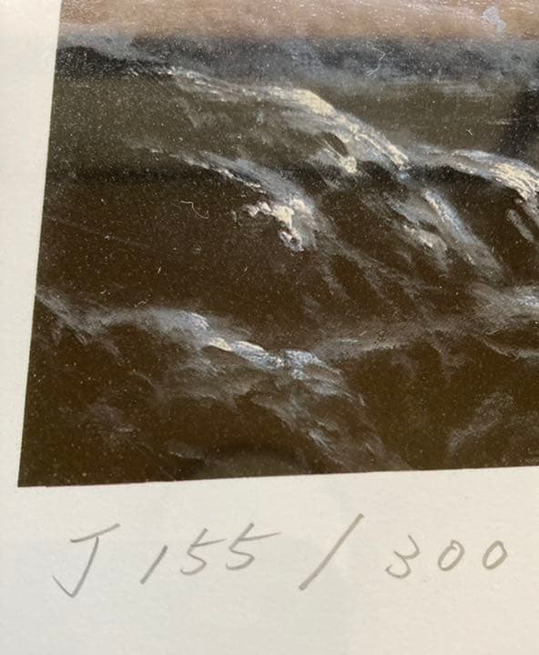 アンソニー・キャセイ「ハワイアンシルエット」