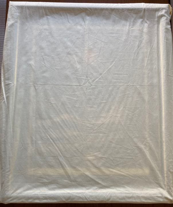 アンソニー・キャセイ「ハワイアンシルエット」