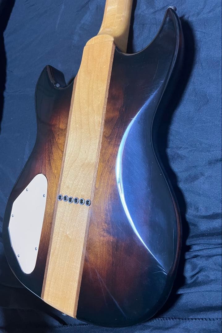 【Aria pro II 】 TS-500 Tri Sound Series