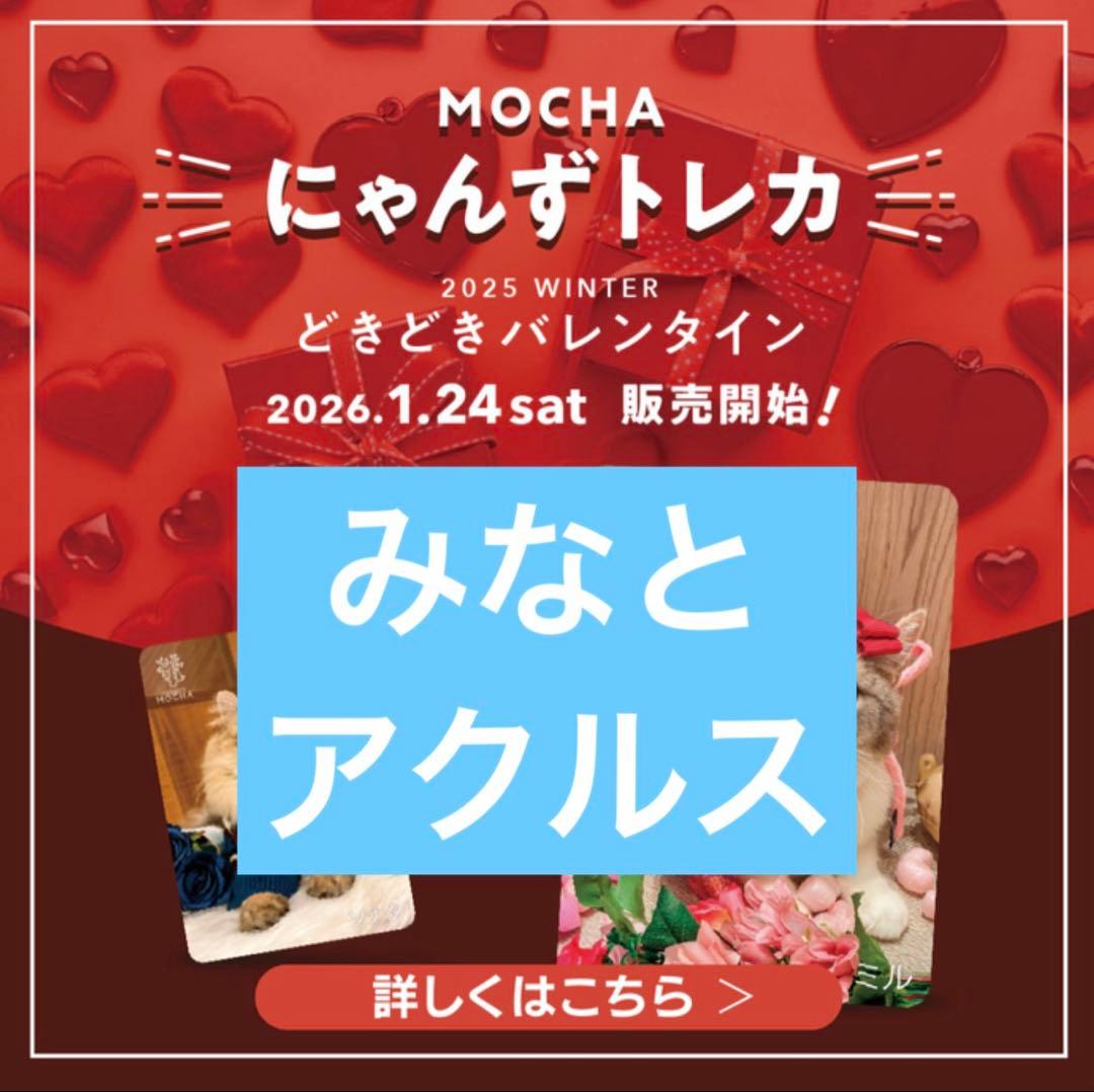 猫カフェmocha にゃんずトレカ　どきどきバレンタイン みなとアクルス店