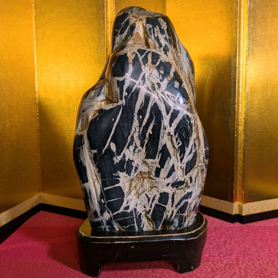 珪化木 9.8㌔ 鑑賞石 観賞石 水石 盆石 天然石 置物