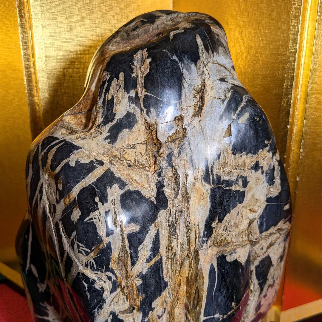 珪化木 9.8㌔ 鑑賞石 観賞石 水石 盆石 天然石 置物