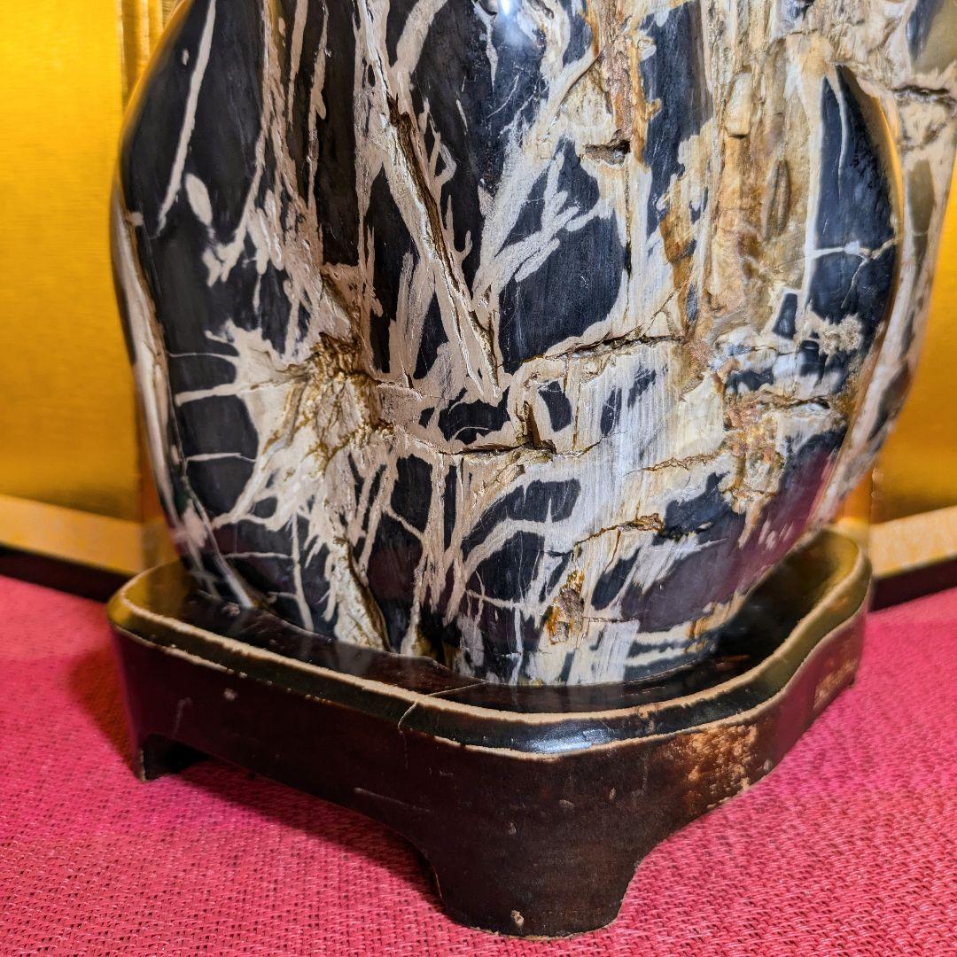 珪化木 9.8㌔ 鑑賞石 観賞石 水石 盆石 天然石 置物