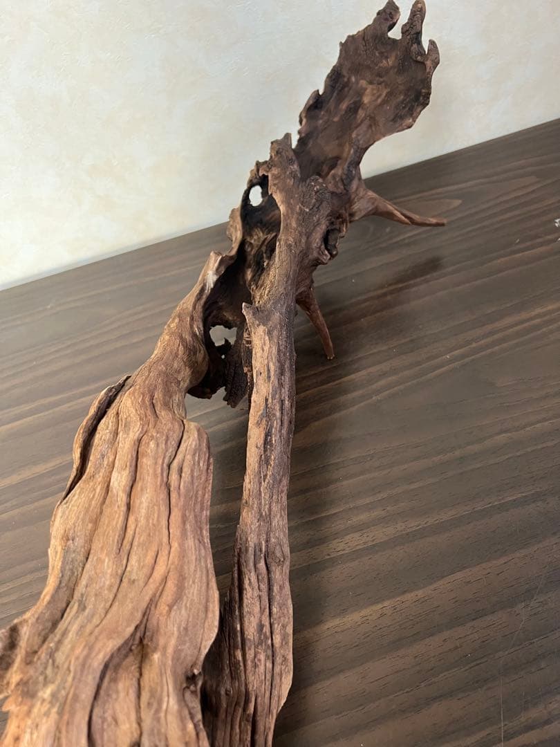 HX-026 流木　ホーンウッド　マシンガンウッド　アクアリウム　ブランチウッド