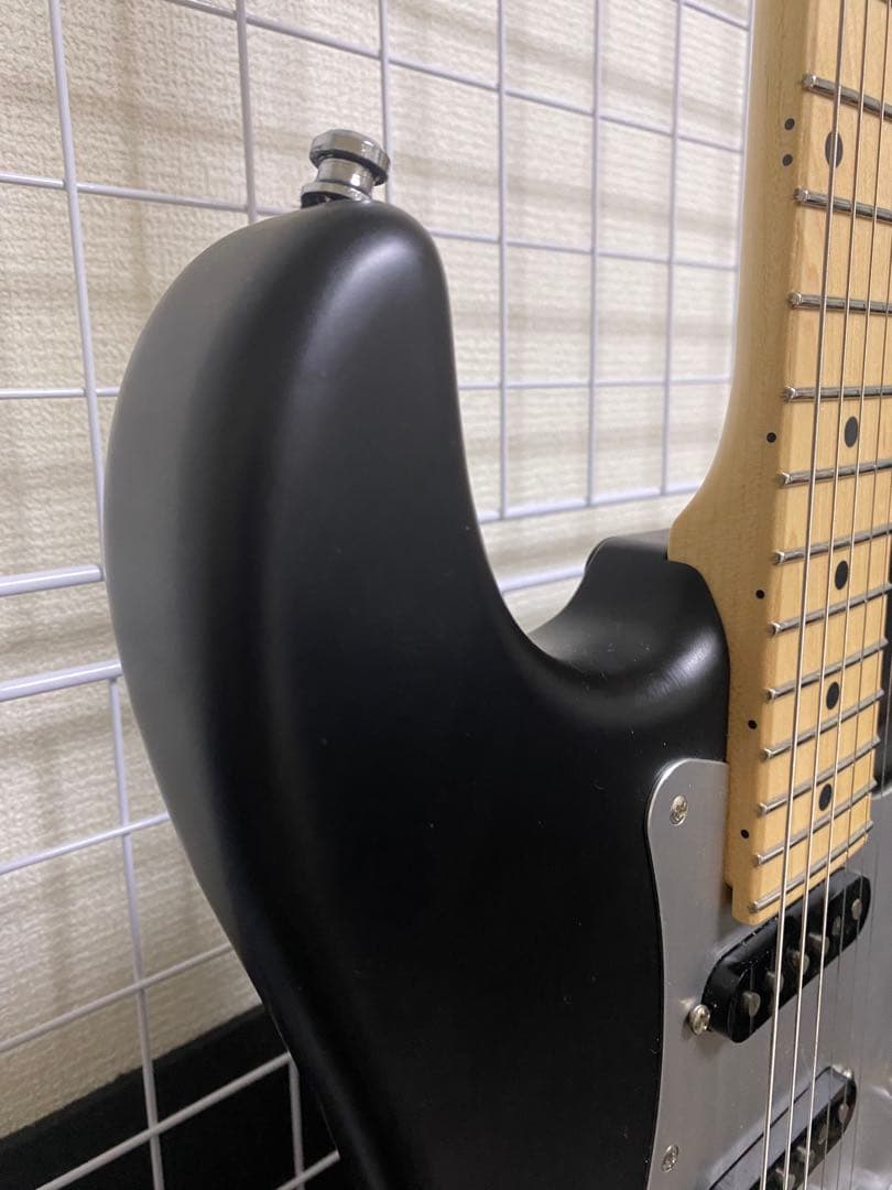 ギター TS Guitars ST-22 Custom black mat