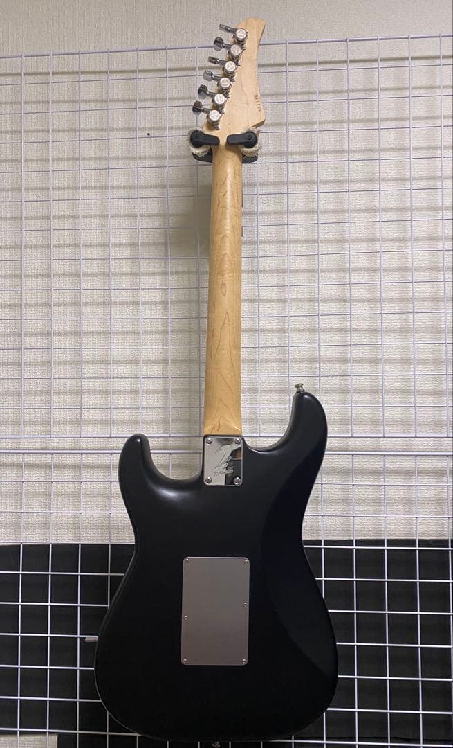 ギター TS Guitars ST-22 Custom black mat