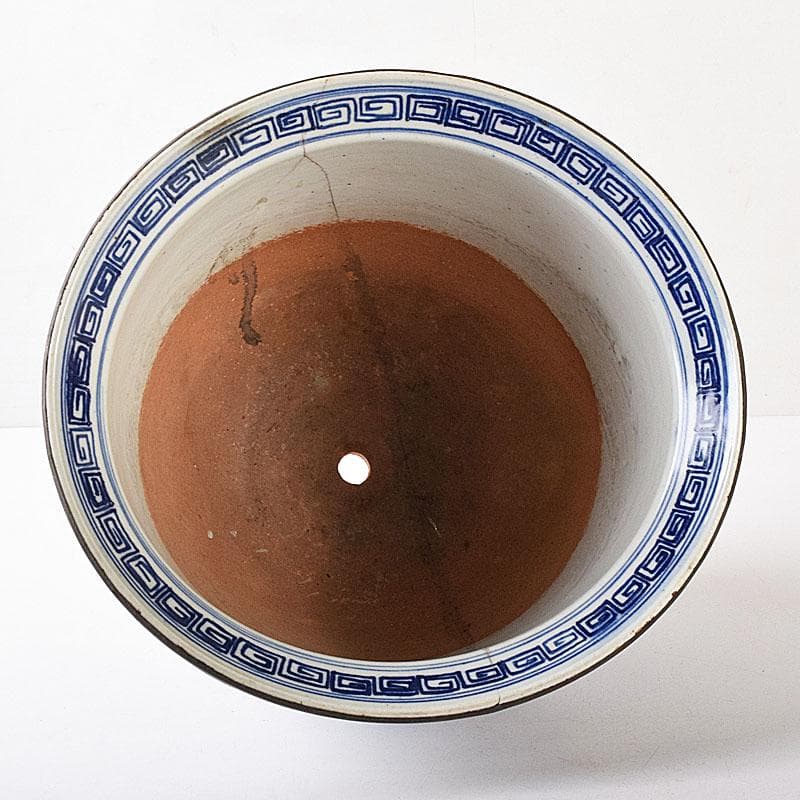 中国　青花　雲龍文鉢　植木鉢　盆栽鉢　N　7768C