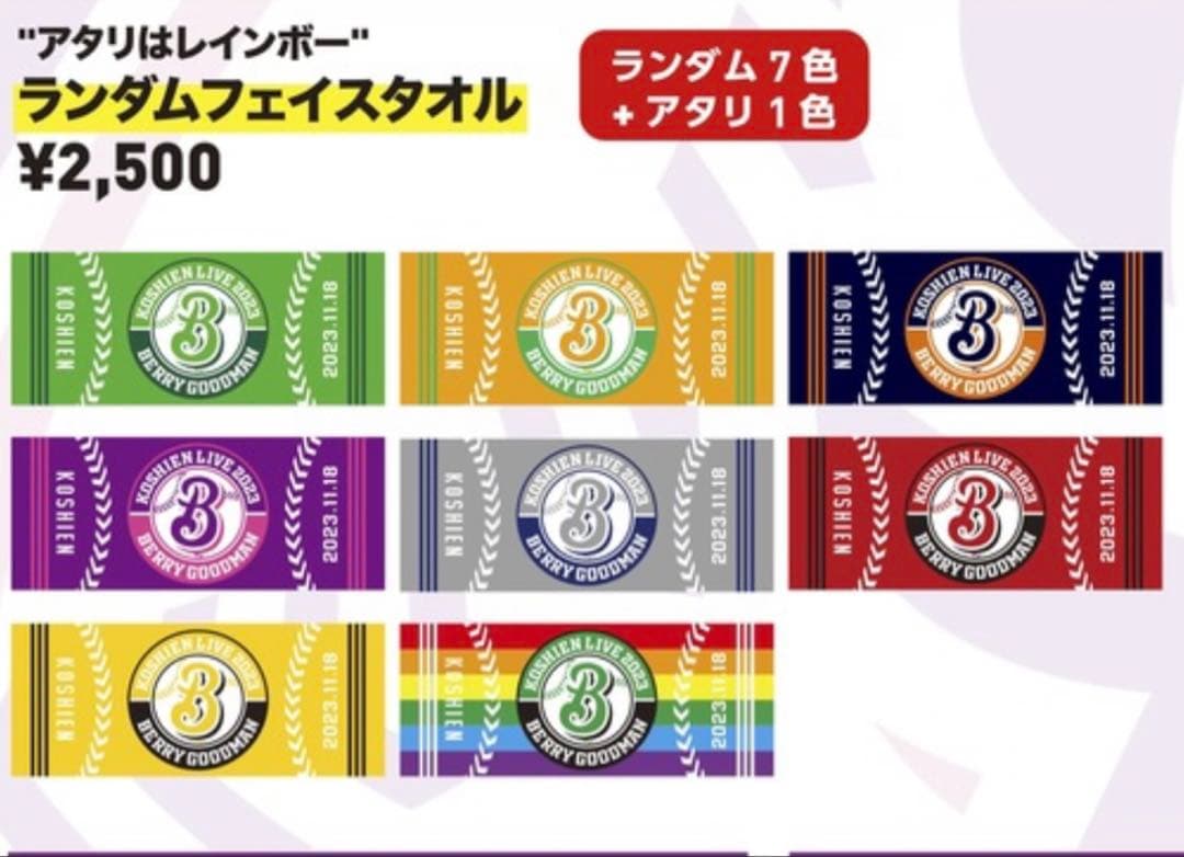 BERRY GOODMAN ベリーグッドマン　ツアーグッズ　タオル甲子園　17枚