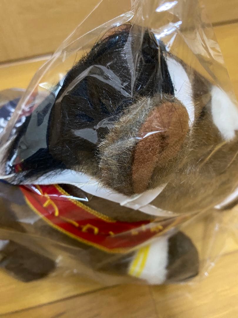 第30回エリザベス女王杯　スイープトウショウ　競馬　アイドルホース　ウマ娘