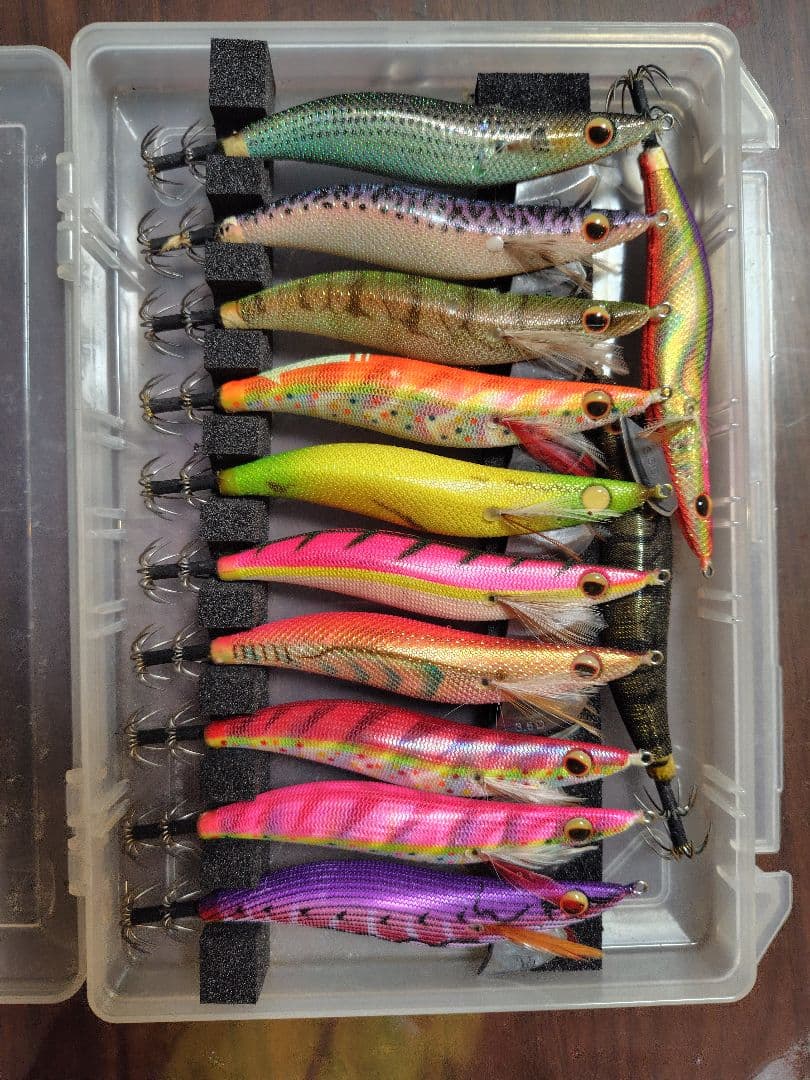 2月 限定価格⚠️‼️値下げ、エバーグリーン　エギ番長　エギング引退セット‼️