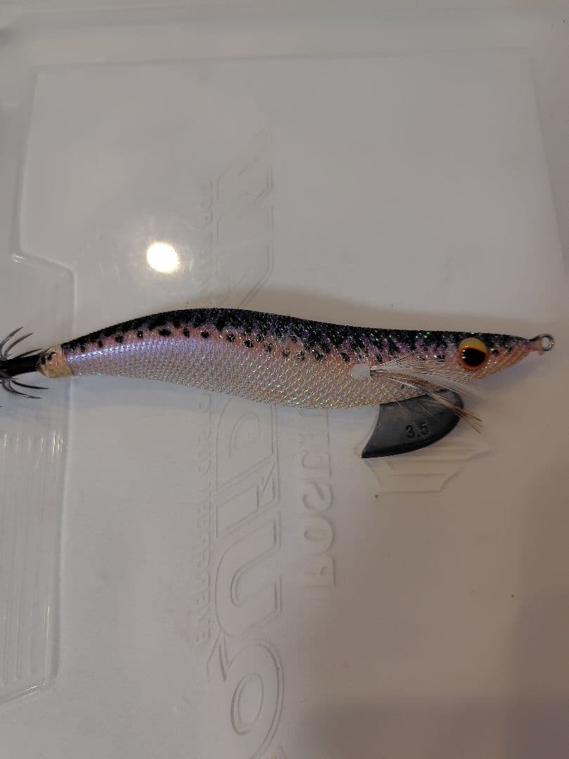 2月 限定価格⚠️‼️値下げ、エバーグリーン　エギ番長　エギング引退セット‼️