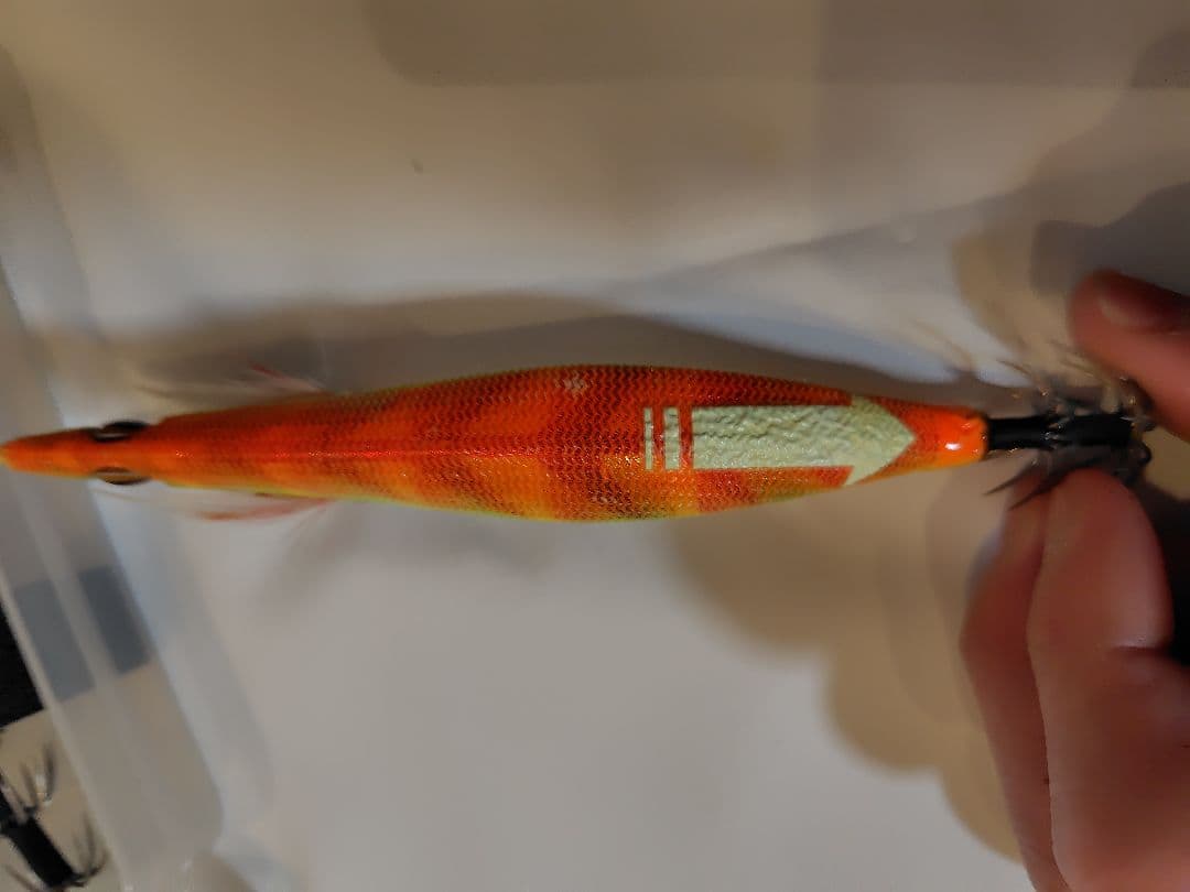 2月 限定価格⚠️‼️値下げ、エバーグリーン　エギ番長　エギング引退セット‼️