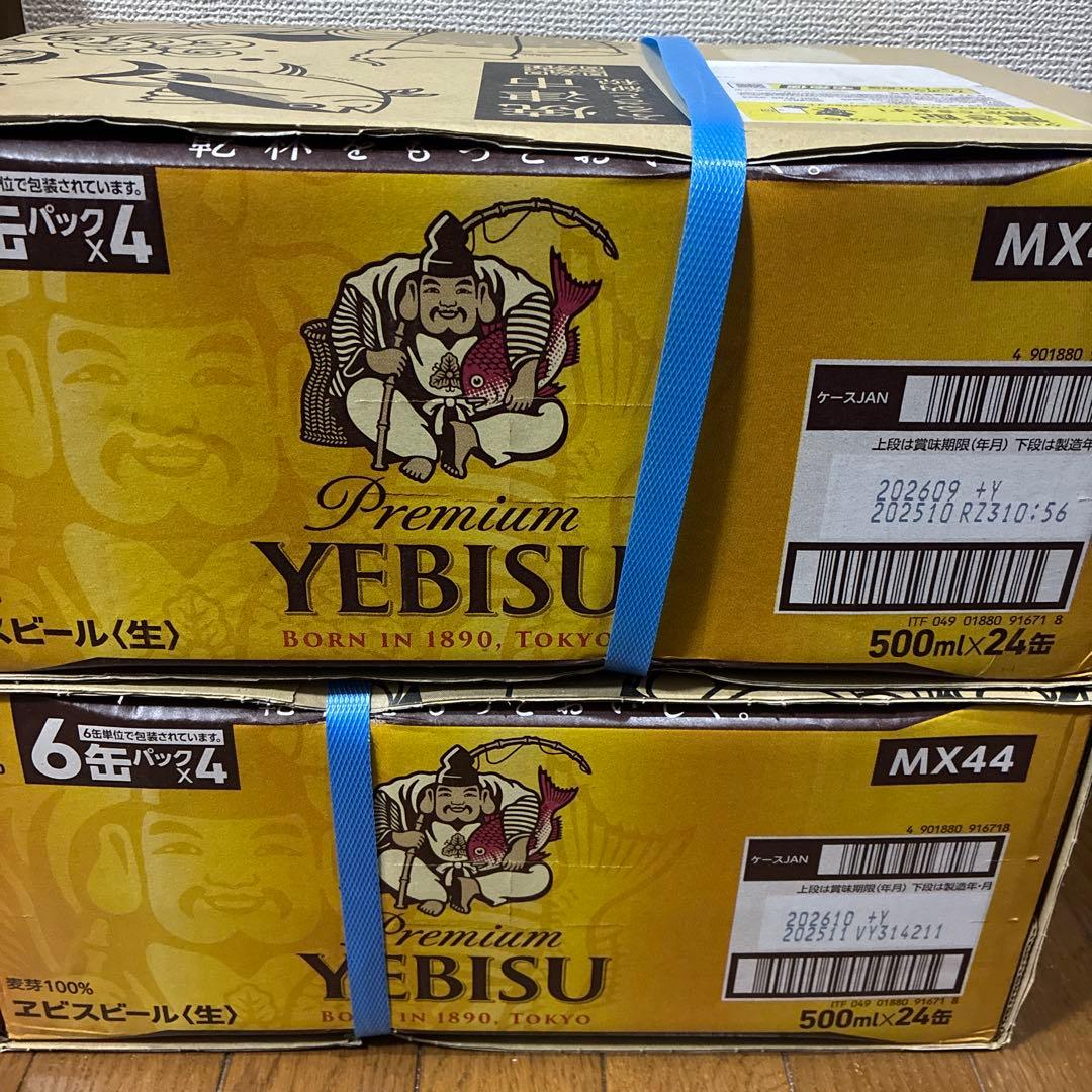 エビスビール 500ml×24缶　2箱セット