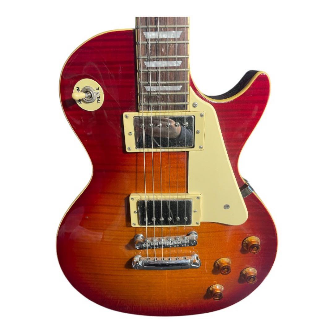 Grass Roots グラスルーツ レスポール ギター ケース付