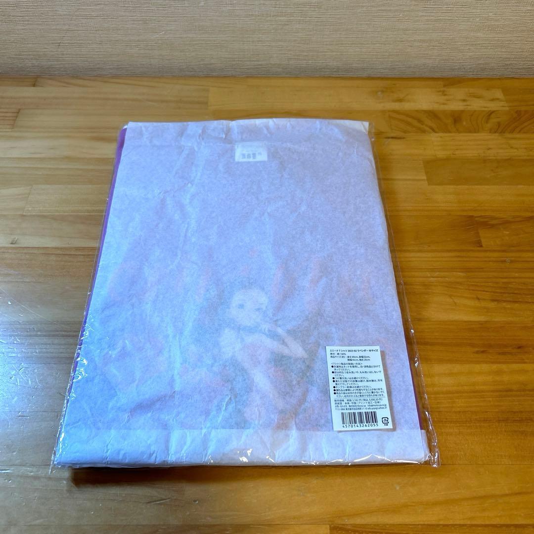 安室奈美恵　エミーナ　エミーナＴシャツ　２０２３　Ｍ　3枚セット