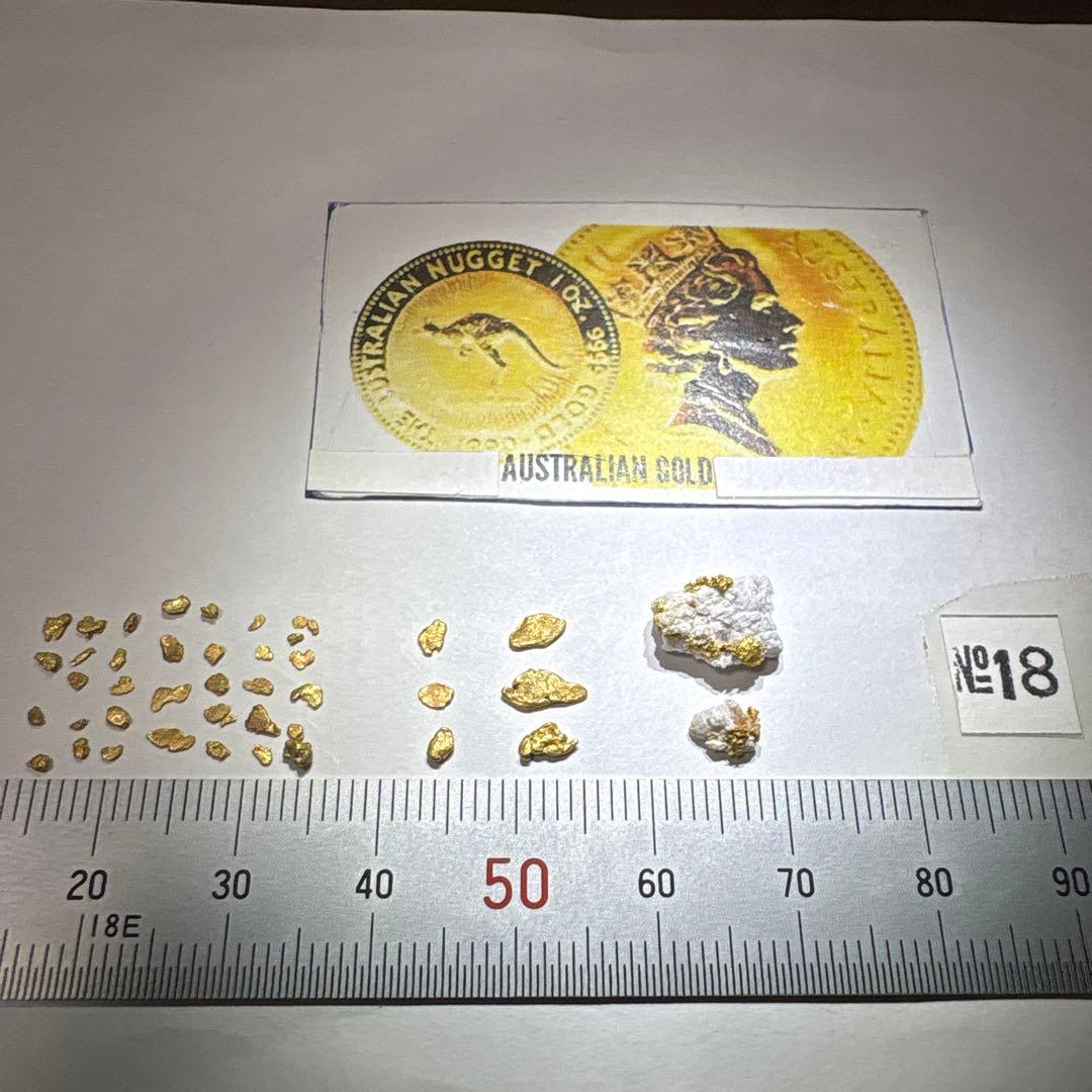 金*粒様 砂金(18)