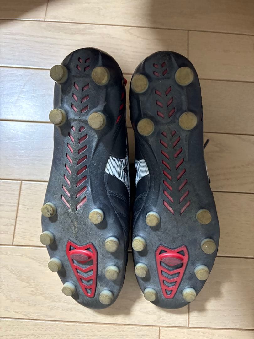 Hayatoモレリアネオ3／Mizuno スパイク/24.0