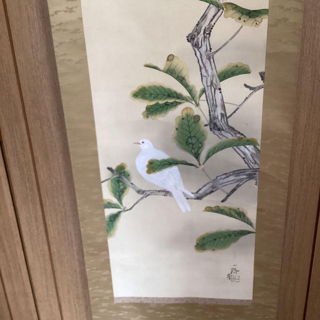 武田一路筆　彩色花鳥画　【　銀　鳩　図　】　肉筆　自題箱　　絹本掛軸一幅　509