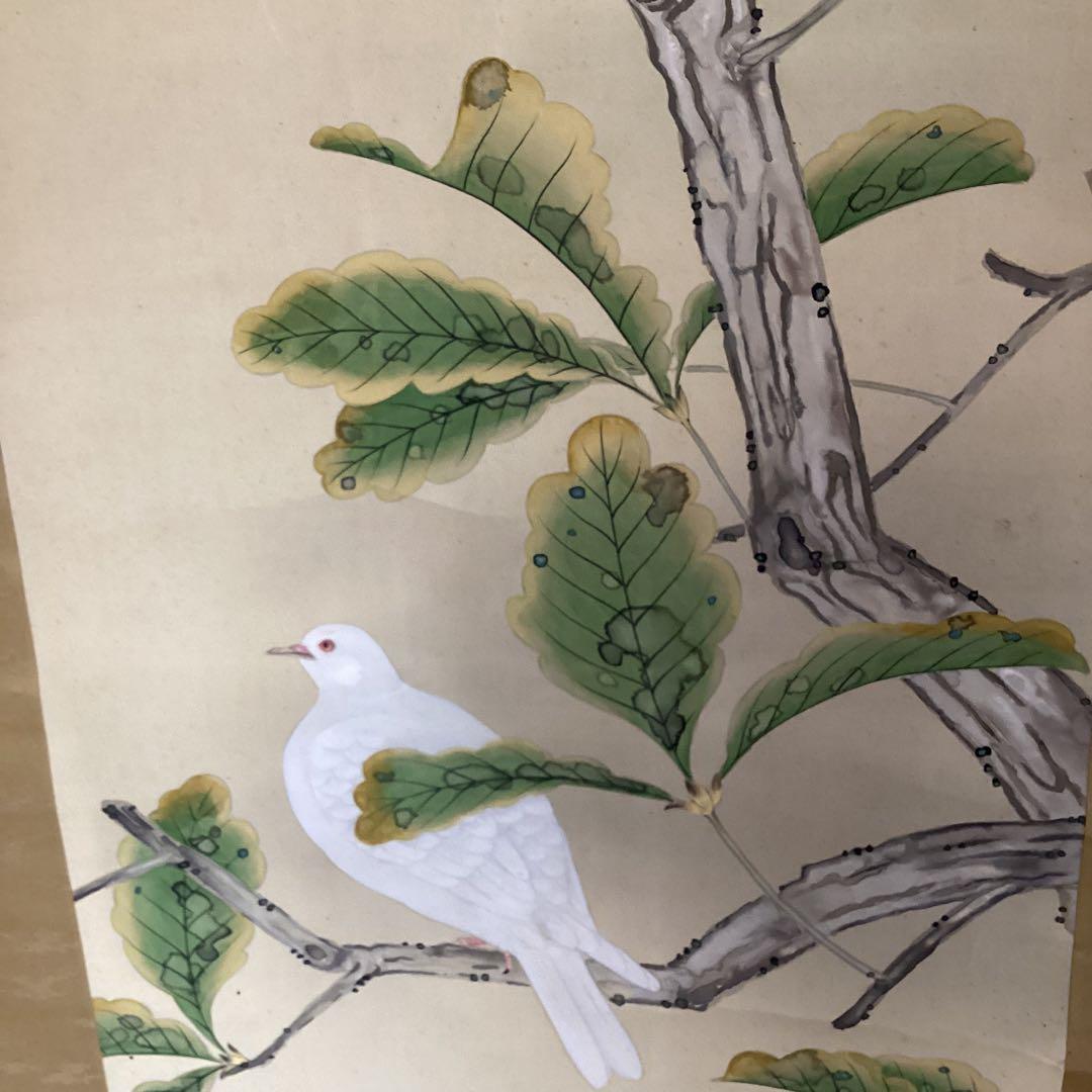 武田一路筆　彩色花鳥画　【　銀　鳩　図　】　肉筆　自題箱　　絹本掛軸一幅　509