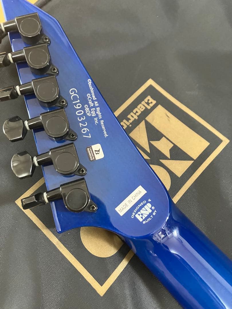 ESP BanG Dream! M-Ⅱ SAYO 氷川紗夜　バンドリ　ケース付き