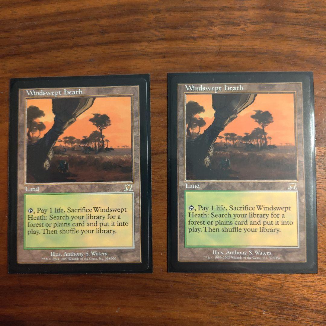 MTG 英語　吹きさらしの荒野　２枚　オンスロート版