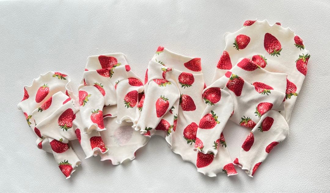 【オーダー】おおきな苺のハイネックロンT犬服