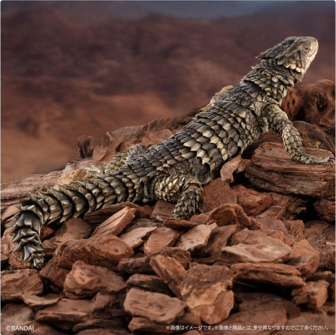 オオヨロイトカゲ いきもの大図鑑ultimate