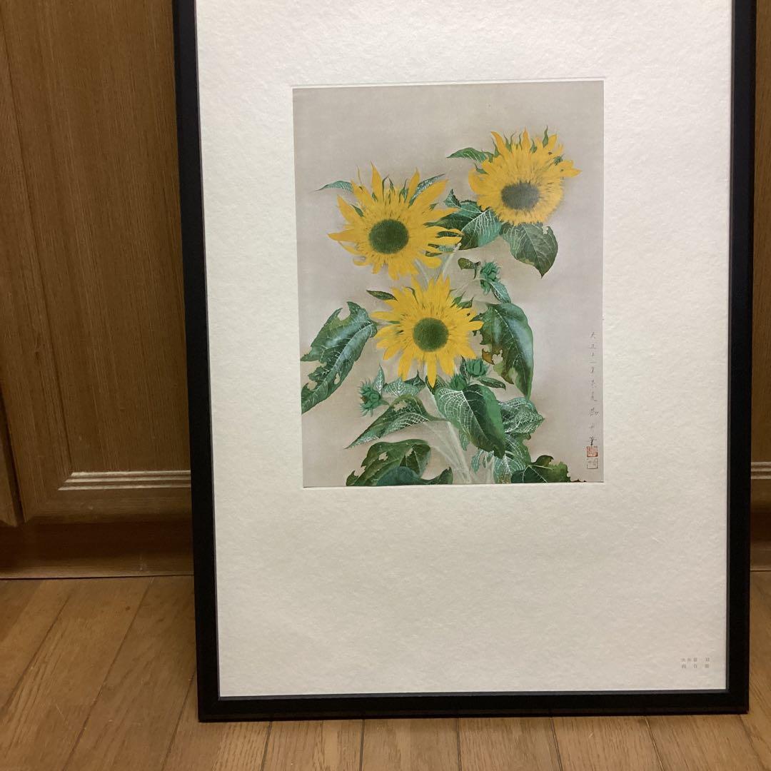 天才画家　速水御舟大作編　便利堂監修　画集NO 12 【向日葵　大正11年作】