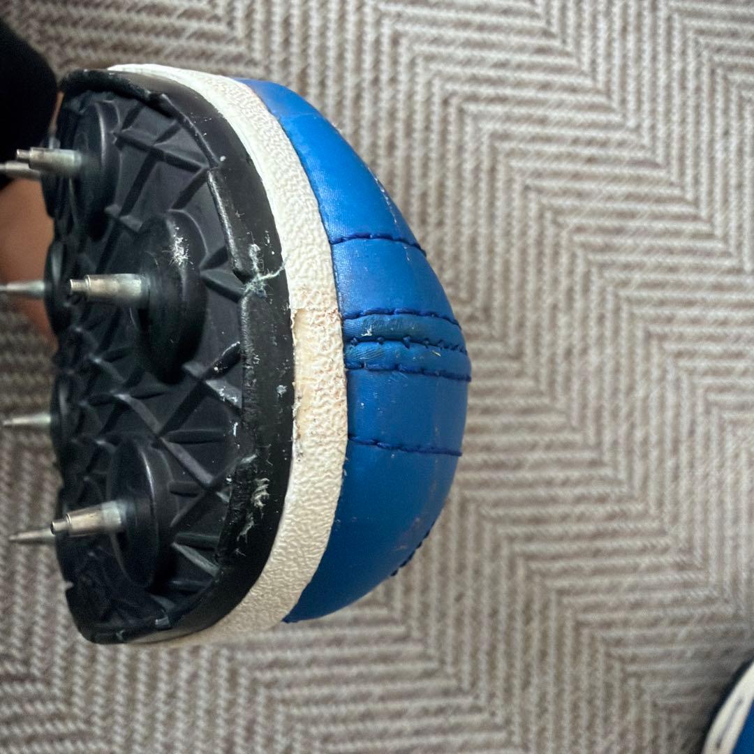 ミズノクロノインクスネオジャパン　26.0 オーダー