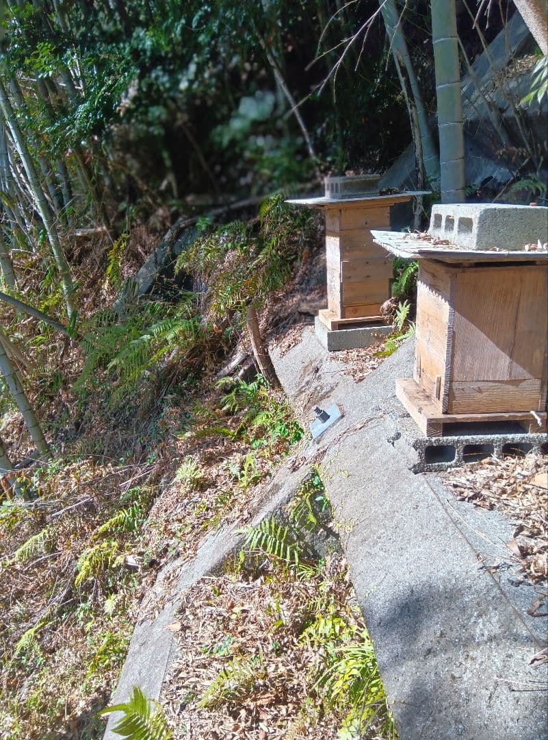 南国土佐の百花蜜