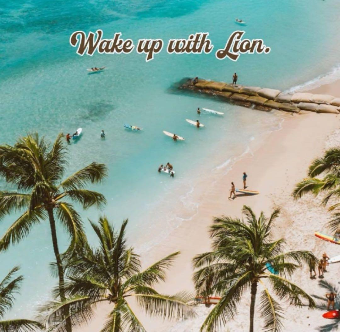 優さん専用☆限定値下げ！ 【粉タイプ】ライオンコーヒー＆マルバディコーヒー☆