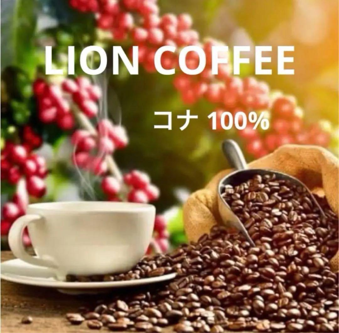 優さん専用☆限定値下げ！ 【粉タイプ】ライオンコーヒー＆マルバディコーヒー☆