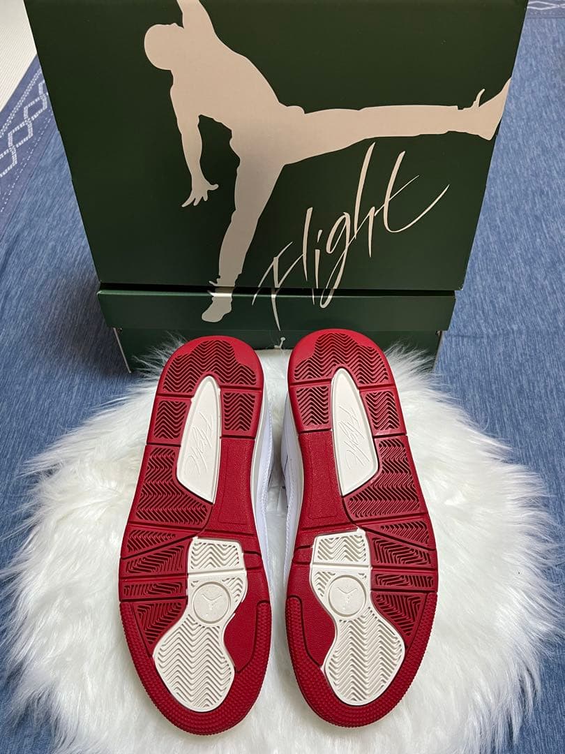 JORDAN FLIGHT COURTジョーダン・フライトコート 27.5㎝