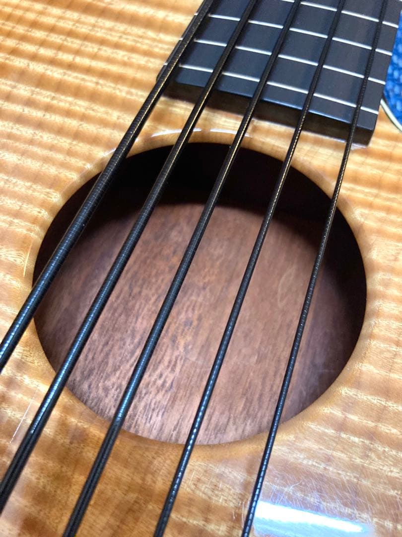 Carvin AC-50 (フレットレス)