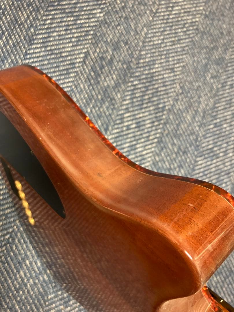 Carvin AC-50 (フレットレス)