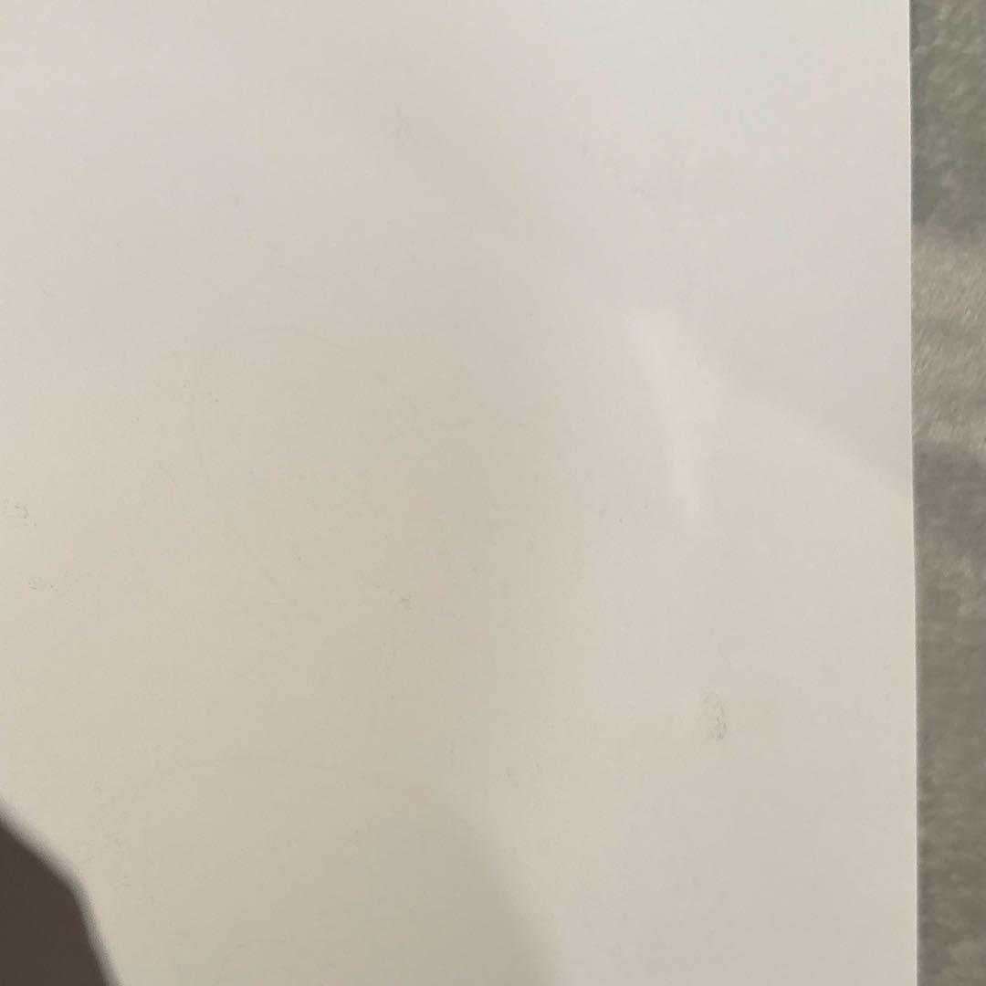 櫻坂46 小島凪紗 自業自得 サイン入りポスター