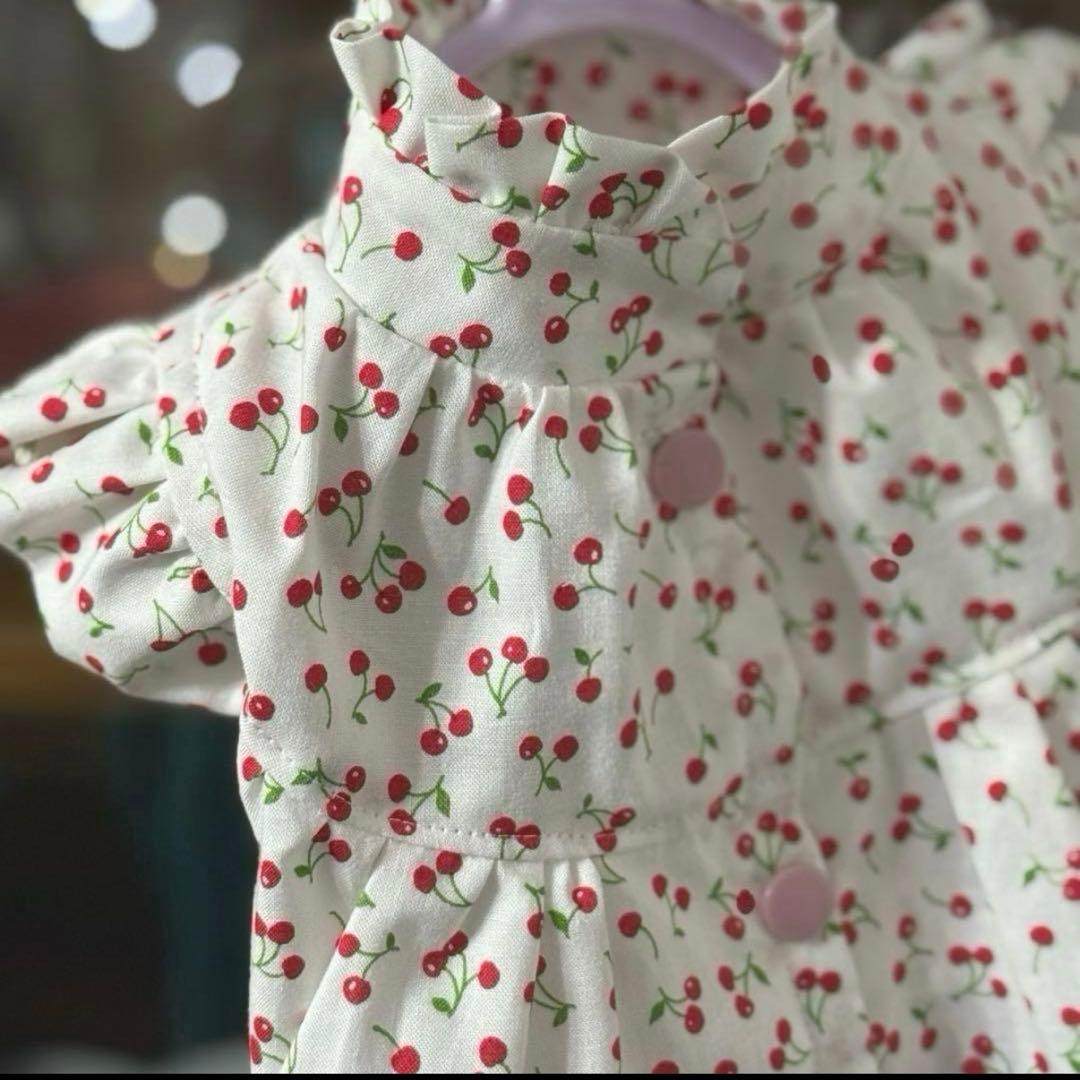 ルーツ様の専用　小型犬　犬服　ハンドメイド　お洋服