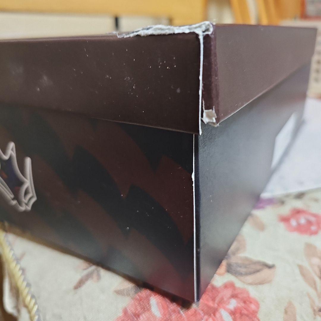 ポケモントレーナー　キバナ　SPINGLE MOVE ポケモン 靴