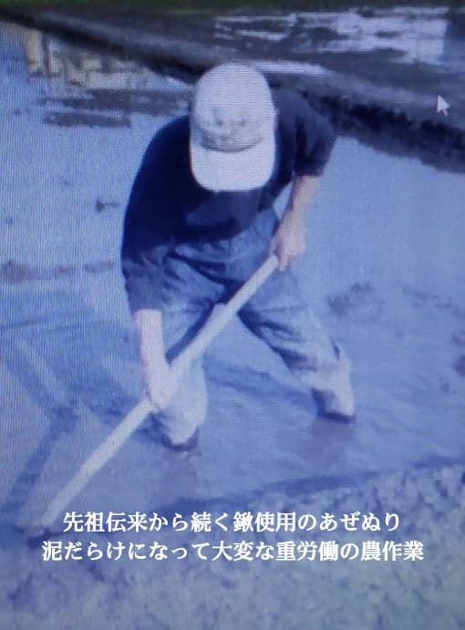 手取り除草は全国で一人だけ ７年産コシヒカリ 玄米10kg 特別栽培①農薬不使用