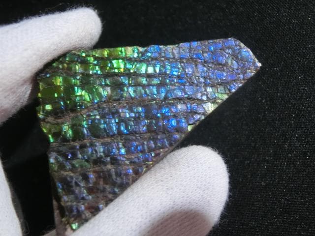 【希少】アンモライト ナチュラル ルース 幸運