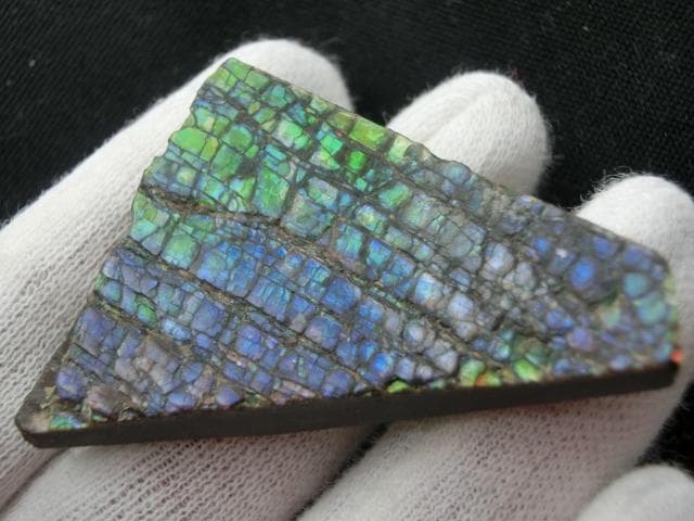 【希少】アンモライト ナチュラル ルース 幸運