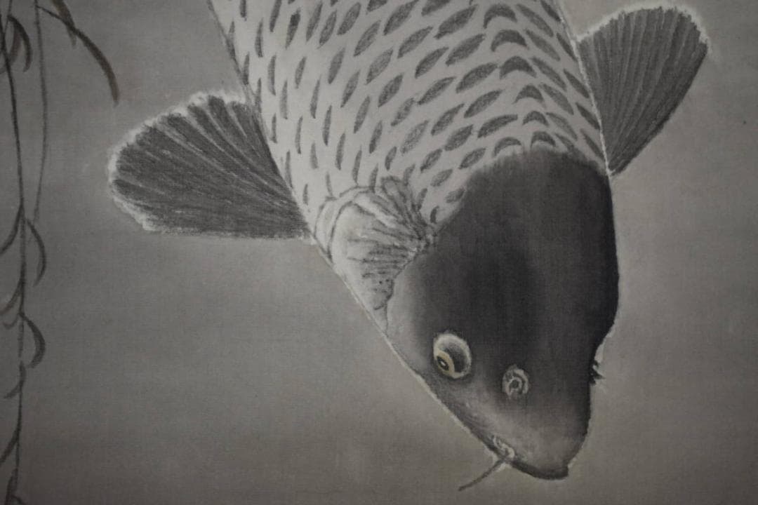 真作/谷口渓雲/柳に遊鯉図/鯉/桐共箱付/布袋屋掛軸A-138