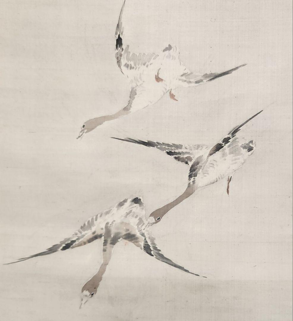 【芦雁図】喜田華堂 2616 蘆に雁 掛け軸　肉筆