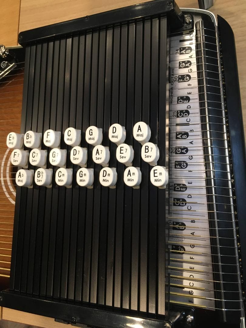 アリア コードハープ ACH-21E